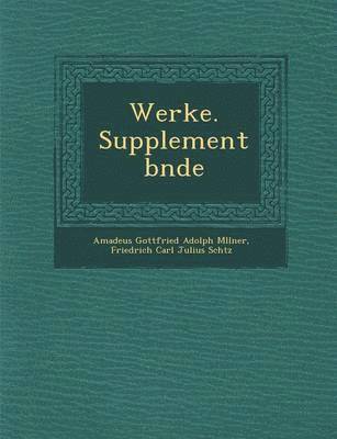 bokomslag Werke. Supplementb Nde