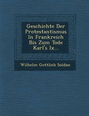 bokomslag Geschichte Der Protestantismus In Frankreich Bis Zum Tode Karl's Ix...