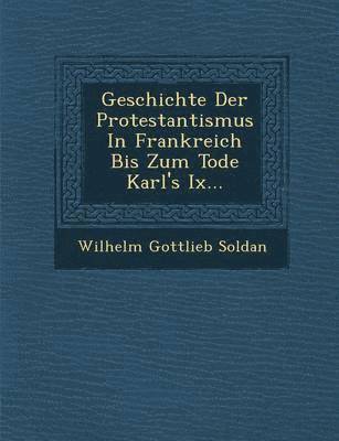 bokomslag Geschichte Der Protestantismus In Frankreich Bis Zum Tode Karl's Ix...