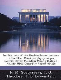 bokomslag Implications of the Fluid-Inclusion Motions in the Elder Creek Porphyry Copper System, Battle Mountain Mining District, Nevada