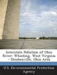 bokomslag Interstate Pollution of Ohio River
