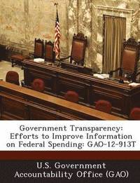 bokomslag Government Transparency