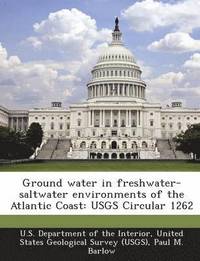 bokomslag Ground Water in Freshwater-Saltwater Environments of the Atlantic Coast