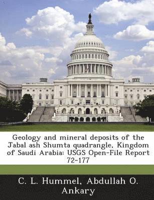 bokomslag Geology and Mineral Deposits of the Jabal Ash Shumta Quadrangle, Kingdom of Saudi Arabia