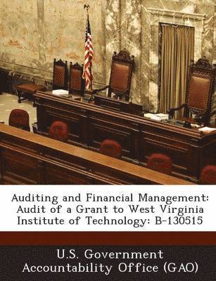 Auditing and Financial Management 1