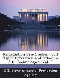 bokomslag Remediation Case Studies