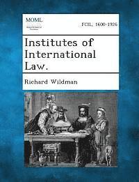 bokomslag Institutes of International Law.