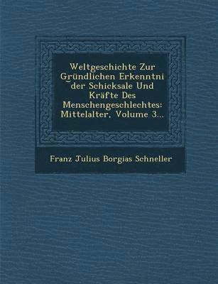 bokomslag Weltgeschichte Zur Grundlichen Erkenntni Der Schicksale Und Krafte Des Menschengeschlechtes