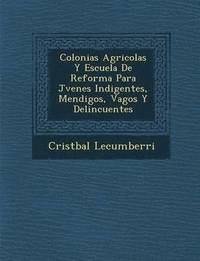 bokomslag Colonias Agricolas Y Escuela De Reforma Para J&#65533;venes Indigentes, Mendigos, Vagos Y Delincuentes