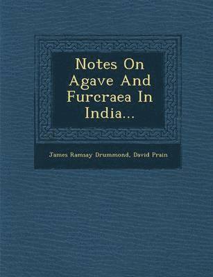 bokomslag Notes on Agave and Furcraea in India...