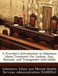 bokomslag A Provider's Introduction to Substance Abuse Treatment for Lesbian, Gay, Bisexual, and Transgender Individuals