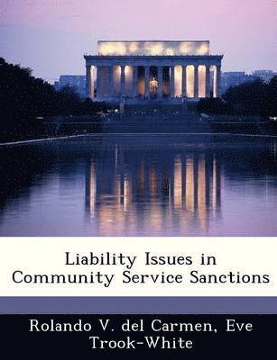 bokomslag Liability Issues in Community Service Sanctions