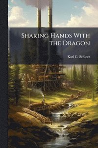 bokomslag Shaking Hands With the Dragon