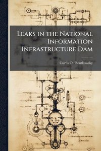 bokomslag Leaks in the National Information Infrastructure Dam