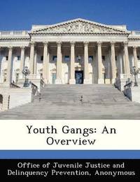 bokomslag Youth Gangs