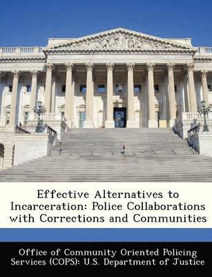 bokomslag Effective Alternatives to Incarceration