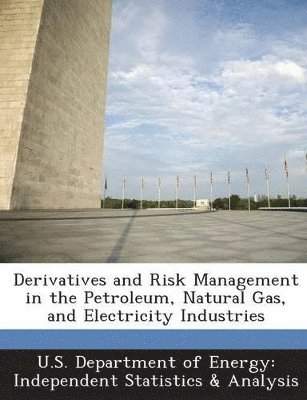 bokomslag Derivatives and Risk Management in the Petroleum, Natural Gas, and Electricity Industries