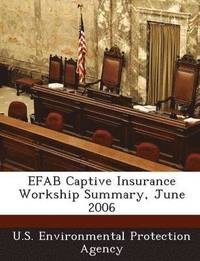 bokomslag Efab Captive Insurance Workship Summary, June 2006