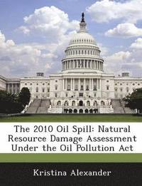bokomslag The 2010 Oil Spill
