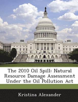 The 2010 Oil Spill 1