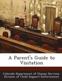 bokomslag A Parent's Guide to Visitation