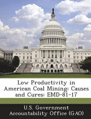 bokomslag Low Productivity in American Coal Mining