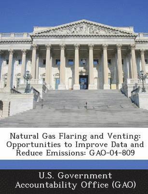 bokomslag Natural Gas Flaring and Venting