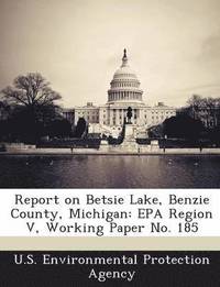 bokomslag Report on Betsie Lake, Benzie County, Michigan