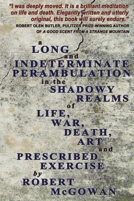 bokomslag Long And Indeterminate Perambulation