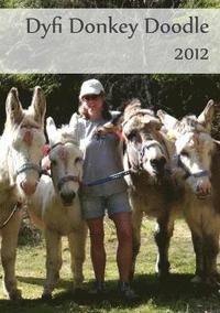 bokomslag Dyfi Donkey Doodle 2012