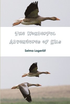 Selma Lagerlof - Wonderful Adventures of Nils, Häftad