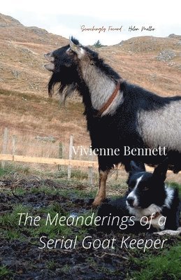 Vivienne Bennett - Meanderings of a Serial Goatkeeper, Häftad