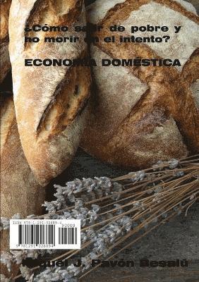 bokomslag ¿Cómo salir de pobre y no morir en el intento? - Economía doméstica
