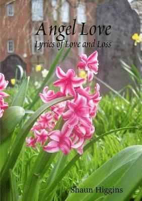 Angel Love 1