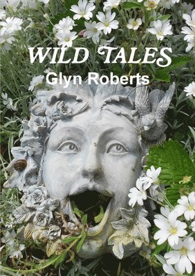 Glyn Roberts - Wild Tales, Häftad