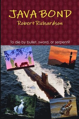 Robert Richardson - Java Bond, Häftad
