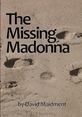 David Maidment - Missing Madonna, Häftad