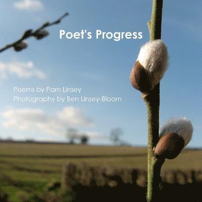 Ben Linsey-Bloom, Pamella Linsey - Poet's Progress, Häftad