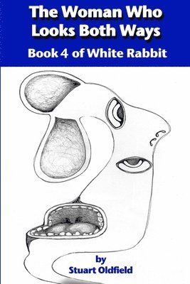 bokomslag The Woman Who Looks Both Ways (Book 4 of White Rabbit)