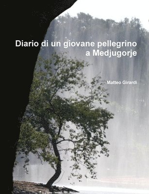 bokomslag Diario Di Un Giovane Pellegrino a Medjugorje