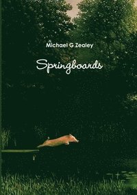 bokomslag Springboards