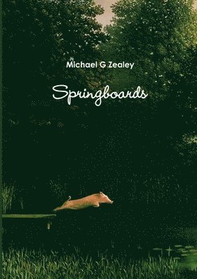 Springboards 1