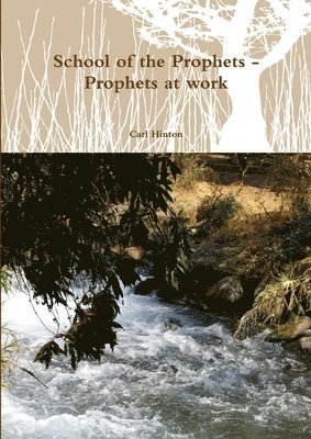 bokomslag School of the Prophets - Prophets at work