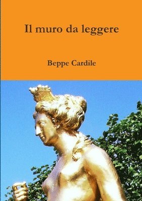 bokomslag Il muro da leggere