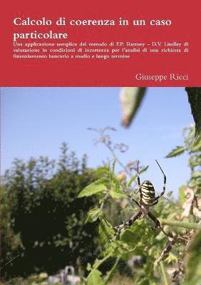 Giuseppe Ricci - Calcolo di coerenza in un caso particolare, Häftad