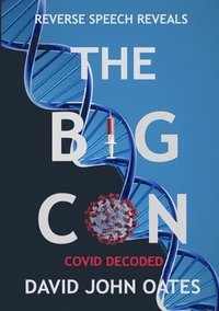bokomslag The Big Con