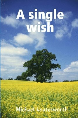 bokomslag single wish