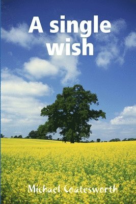 A single wish 1