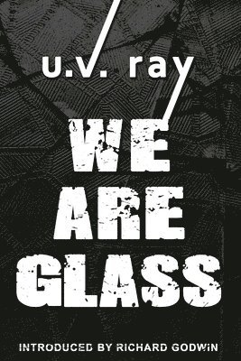 bokomslag We Are Glass