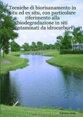Adriano Sofo - Tecniche di biorisanamento in situ ed ex situ, con particolare riferimento alla biodegradazione in siti contaminati da idrocarburi, Häftad